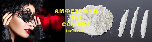 меф Ельня