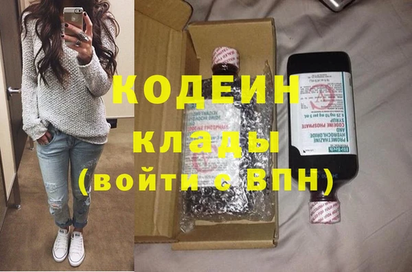 меф Ельня