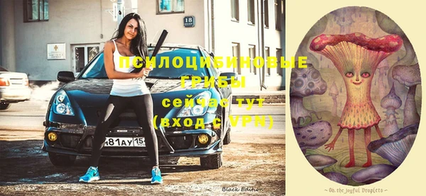 не бодяженный Елабуга