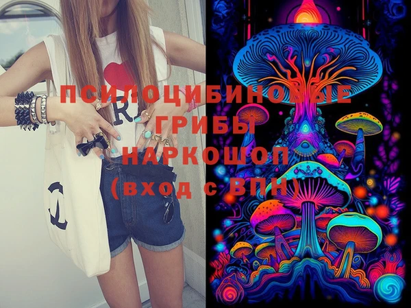 PSILOCYBIN Елизово