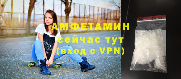 меф Ельня
