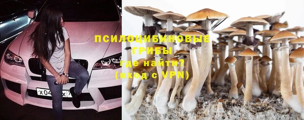 PSILOCYBIN Елизово