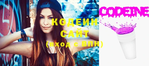 меф Ельня