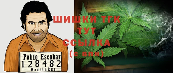 не бодяженный Елабуга