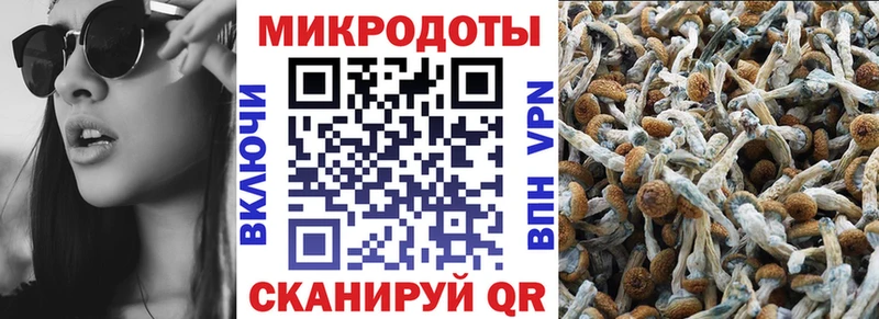 цены   hydra   Галлюциногенные грибы мухоморы  Сольцы 